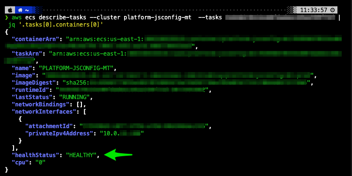 Terminal screen shot showing output of the aws ecs describe-tasks call